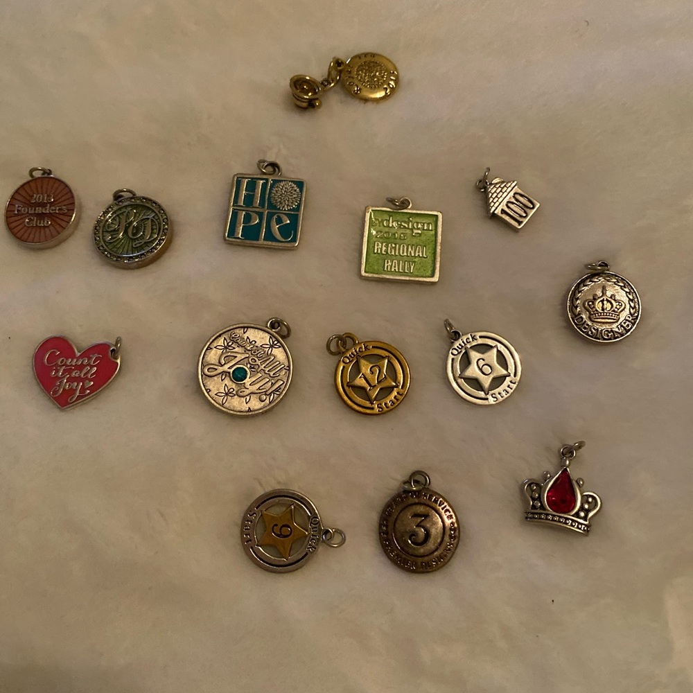 Assorted Charm Collection
